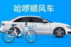 7分钟教程!洛阳市咨询公司_哔哩哔哩-2